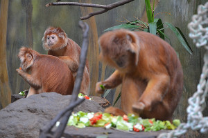 6532673785_7661f1a6d5