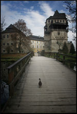 Duck going to the castle