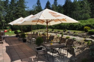 ubytovani-beskydy-hotel-u-holubu-3